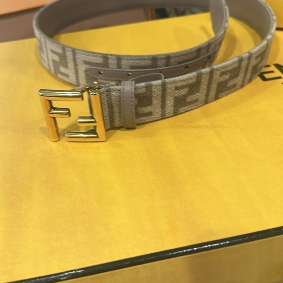 Fendi Brown and Gold women Belt Bag - Picture 14 of 17